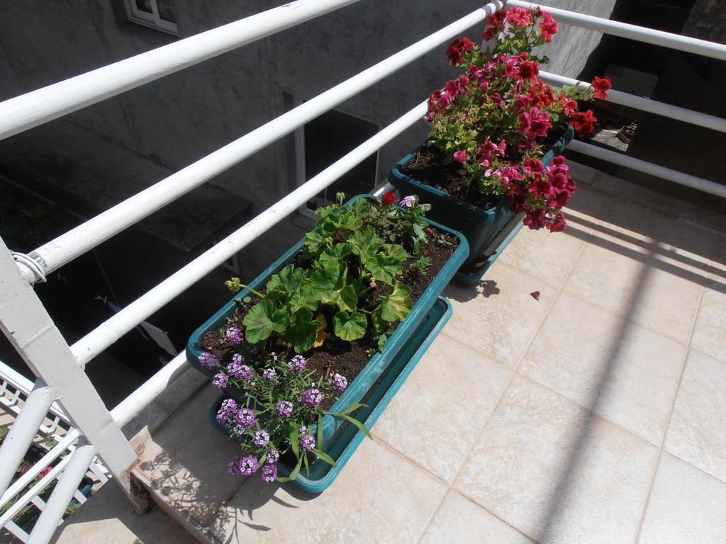 بودفا Apartmani Zeljko Vujovic المظهر الخارجي الصورة
